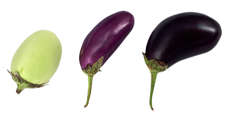 small eggplant png, small eggplant png image, small eggplant transparent png image, small eggplant png full hd images download